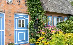 Haushaelfte-41-gegen-den-wind-id-162 Sankt Peter-ording